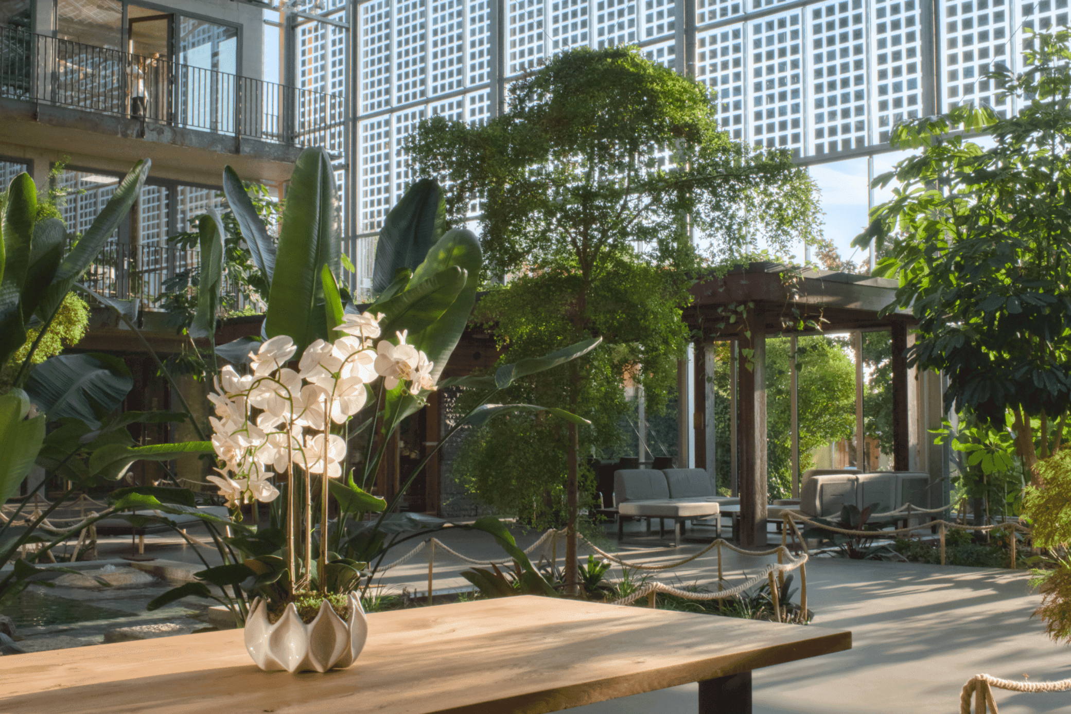 Holztisch mit Orchidee im Atrium