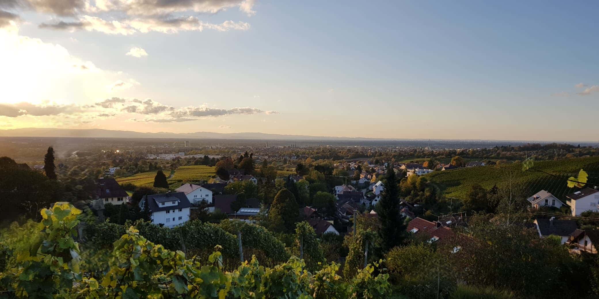 Grundstück in der Ortenau