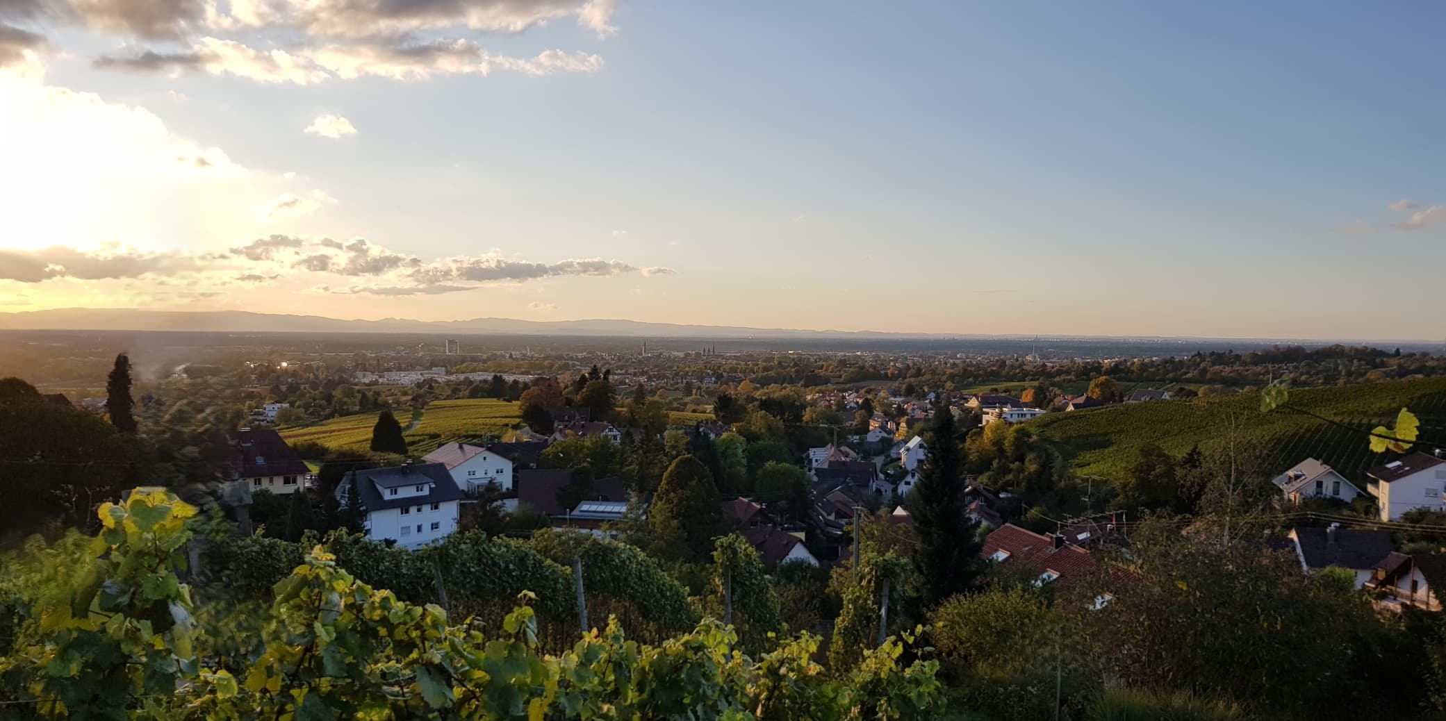 Grundstück in der Ortenau